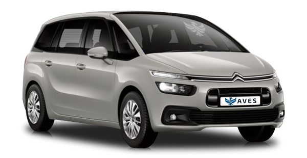 Citroen Grand Rip Curl